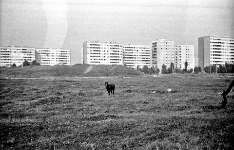 Baza Spartac - actual mall Park Lake