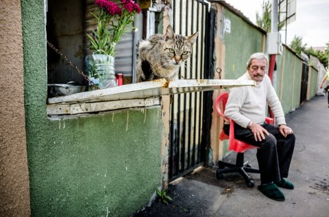 Ucenic la prăvălie - Bulevardul Bucureștii Noi