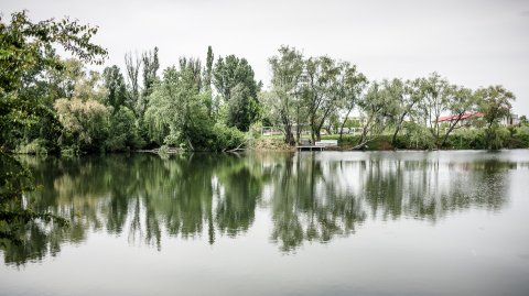 Lacul Grivița