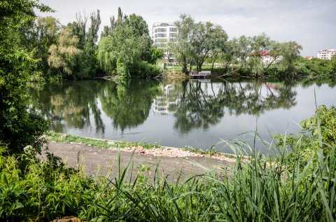 Lacul Grivița