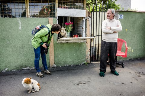Prăvălie - Bulevardul Bucureștii Noi