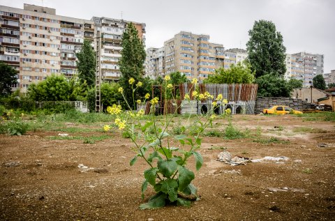 Fosta cale ferata - Bulevardul Basarabia