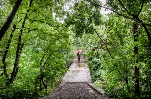 Parcul Sticlăriei