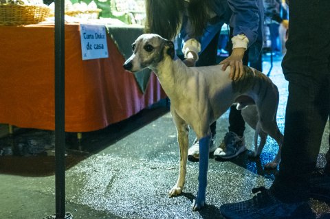 Festivalul Urban “Femei pe Mătăsari” 2017