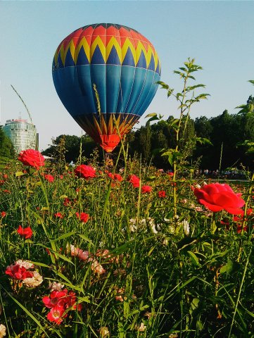 Bolon in parcul Herastrau