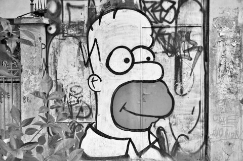 Homer