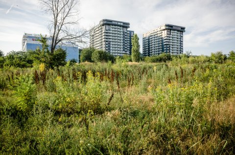 Pepinieră comunală - Șoseaua Fabrica de Glucoză