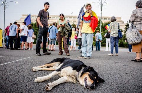 Protest împotriva naționalizării pilonului II de pensie - Piața Victoriei