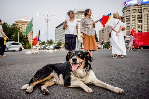 Protest împotriva naționalizării pilonului II de pensie - Piața Victoriei