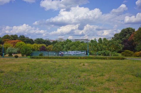 Lucrările de amplasare a statuii Prințului Rainier al III-lea de Monaco în Parcul Circului