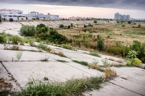 Dig - Parcul Natural Văcărești