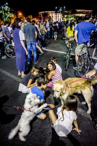 Protest anticorupție - Piața Victoriei