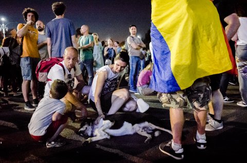 Protest anticorupție - Piața Victoriei