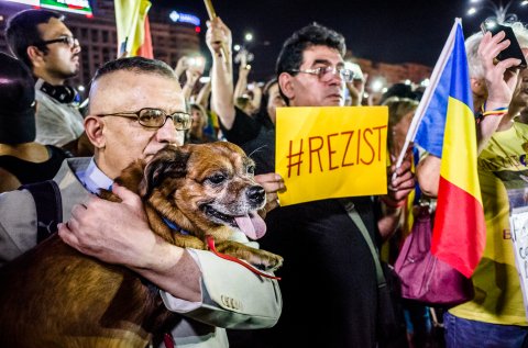 Protest anticorupție - Piața Victoriei