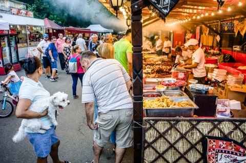 Festivalul Plăcintelor 2017 - Parcul Național