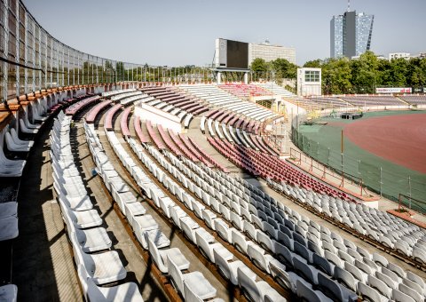 Stadion - Complex Sportiv Dinamo