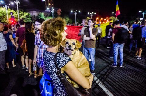 Cățel - Protest anticorupție - Piața Victoriei