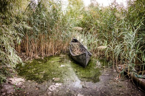 Barcă abandonată - Parcul Natural Văcărești