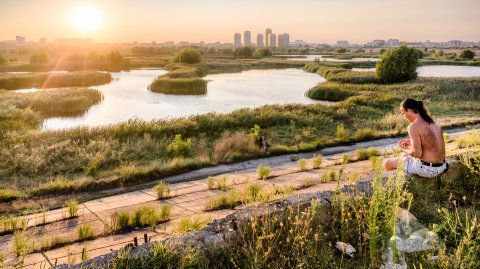 Apus - Parcul Natural Văcărești