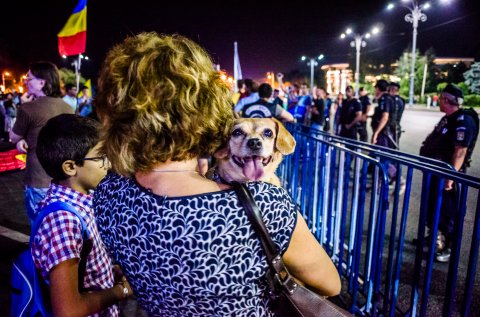 Cățel - Protest anticorupție - Piața Victoriei