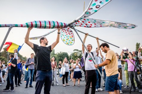 Libelula - Protest Roșia Montană