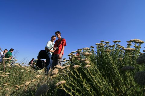 Parcul Natural Vacaresti - Delta din Bucuresti