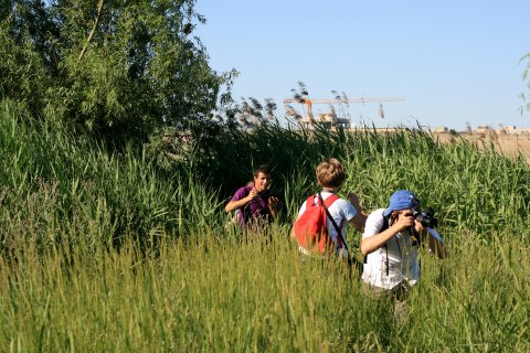 Parcul Natural Vacaresti - Delta din Bucuresti