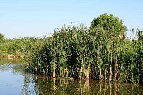 Parcul Natural Vacaresti - Delta din Bucuresti