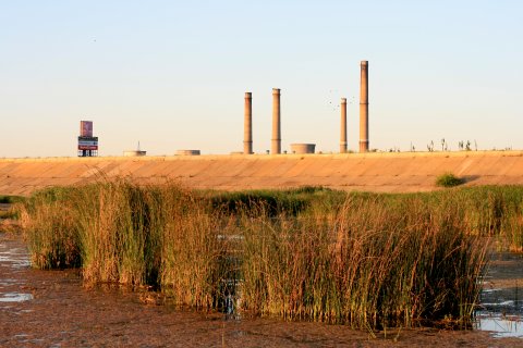 Parcul Natural Vacaresti - Delta din Bucuresti