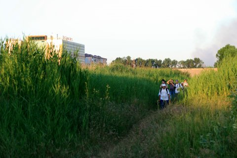 Parcul Natural Vacaresti - Delta din Bucuresti