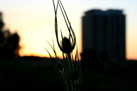 Parcul Natural Vacaresti - Delta din Bucuresti