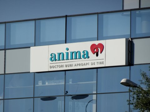 anima - firme din zona corporatista Pipera