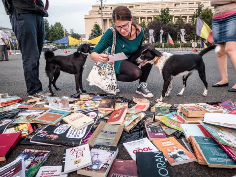 Protest „Biblioteca pentru Pop” - Piața Victoriei