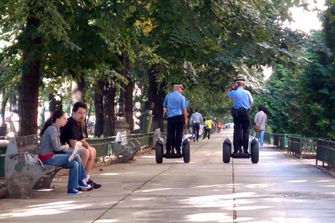 Vine poliția!