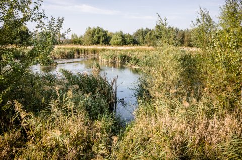 Dâmbovița înainte de Lacul Morii