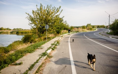 Dâmbovița înainte de Lacul Morii - Chiajna