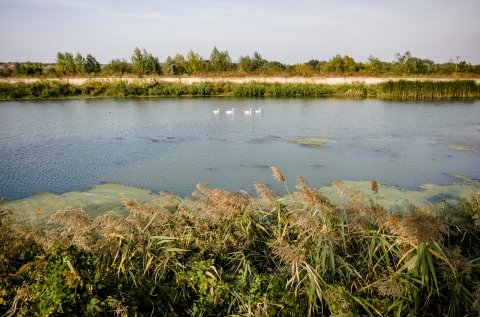 Dâmbovița înainte de Lacul Morii - Chiajna