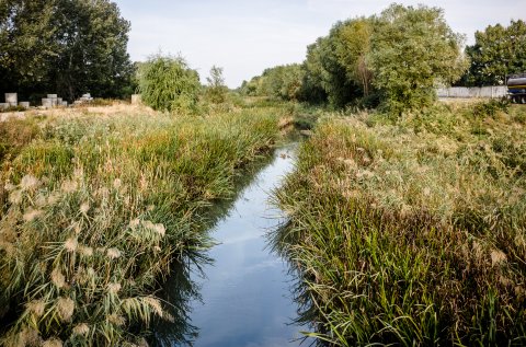 Dâmbovița înainte de Lacul Morii - Chiajna