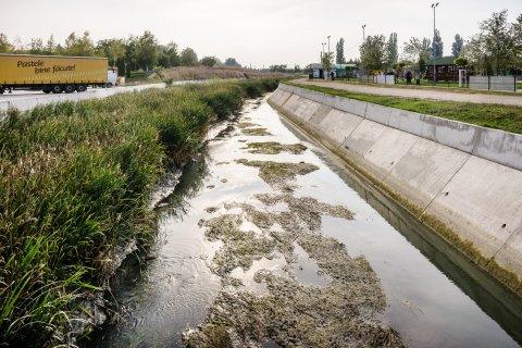 Dâmbovița înainte de lacul Morii - Chiajna