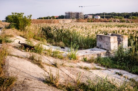 Pe lângă Dâmbovița înainte de lacul Morii