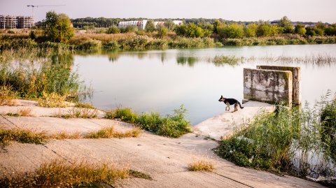 Lac lângă Dâmbovița - Chiajna