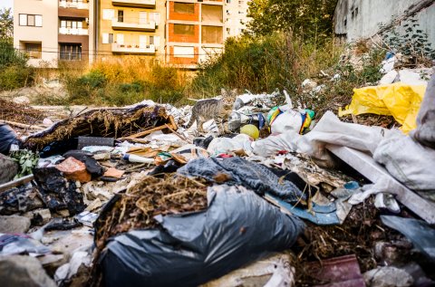 Pisică între gunoaie - Strada Ion Minulescu