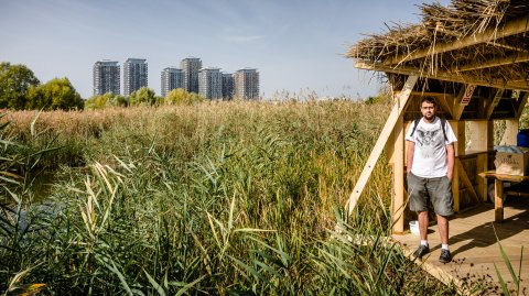 Pauză - Parcul Natural Văcărești