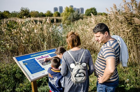 La plimbare - Parcul Natural Văcărești