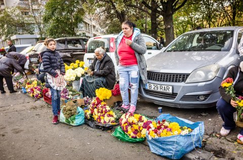 Florari - Bulevardul Regina Maria