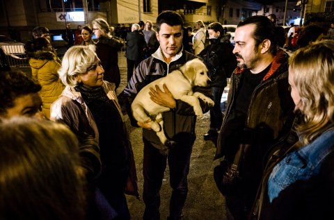 Marșul chitarelor Colectiv - Piața Bucur