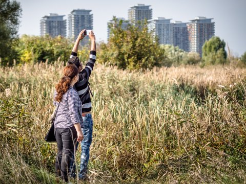 Parcul Natural Văcărești