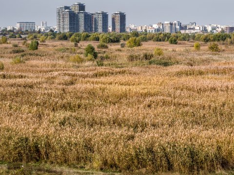 Toamna - Parcul Natural Văcărești