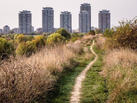 Potecă - Parcul Natural Văcărești