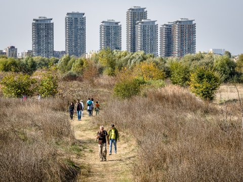 Parcul Natural Văcărești